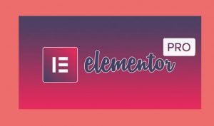 Elementor Pro Full Package Free