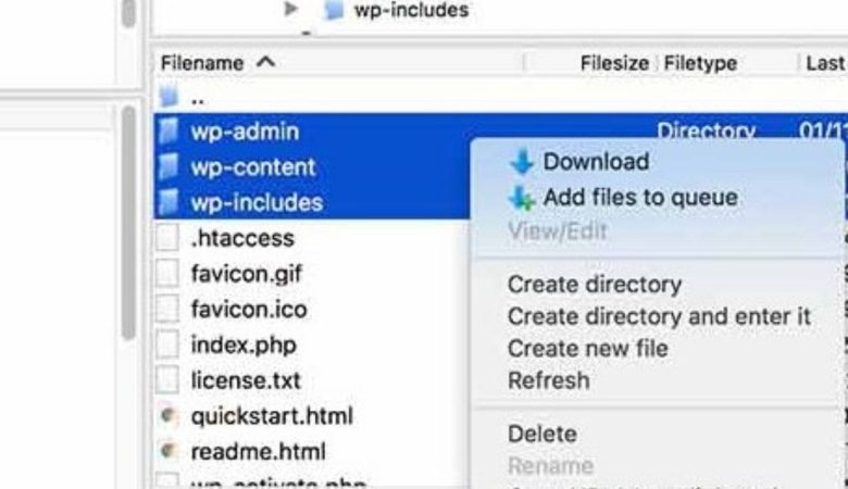 How to Fix Error File and Folder Permissions in WordPress