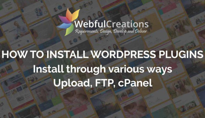 How to Install WordPress in Cpanel Step By Step Guide