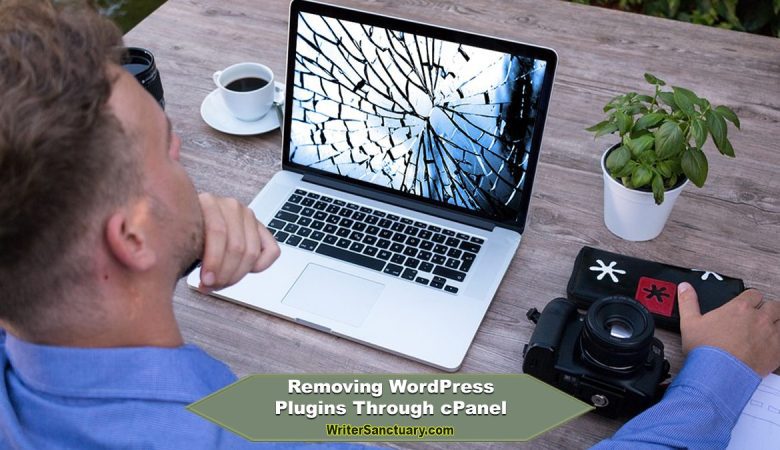 How to Remove WordPress from Cpanel