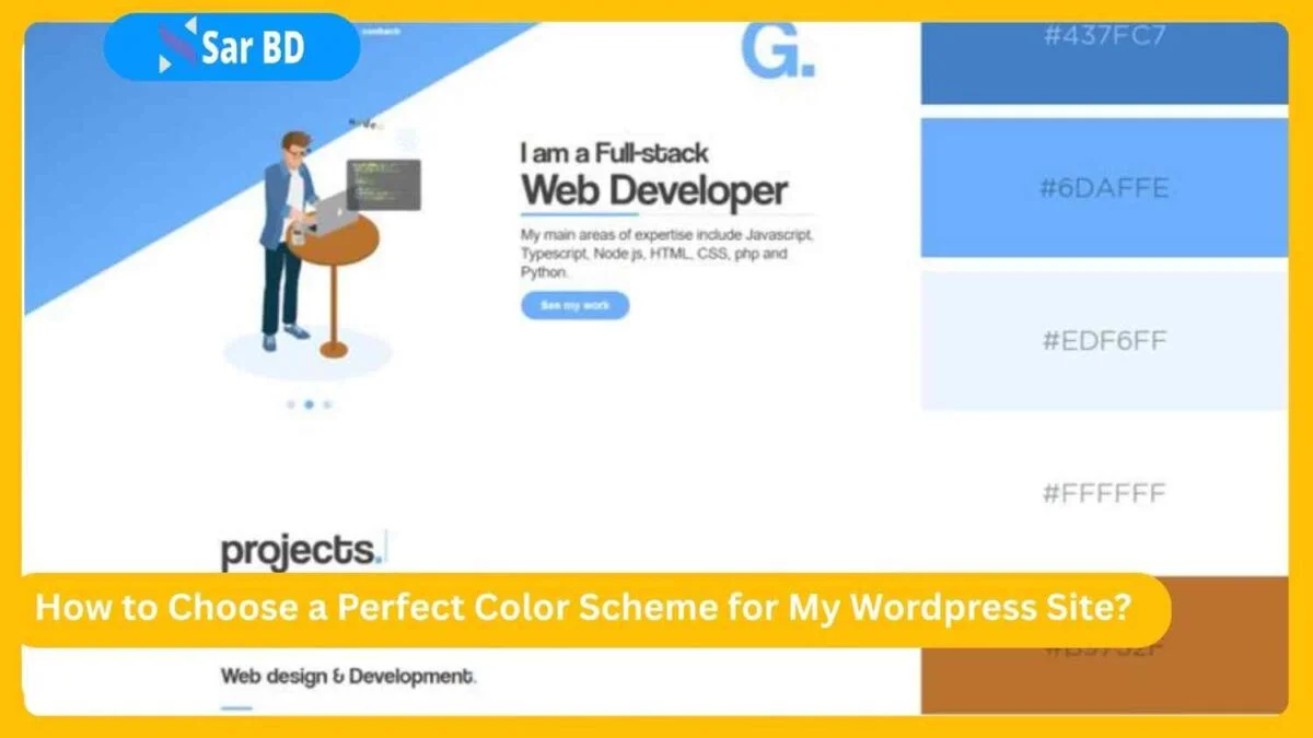 How to Choose a Perfect Color Scheme for My Wordpress Site?